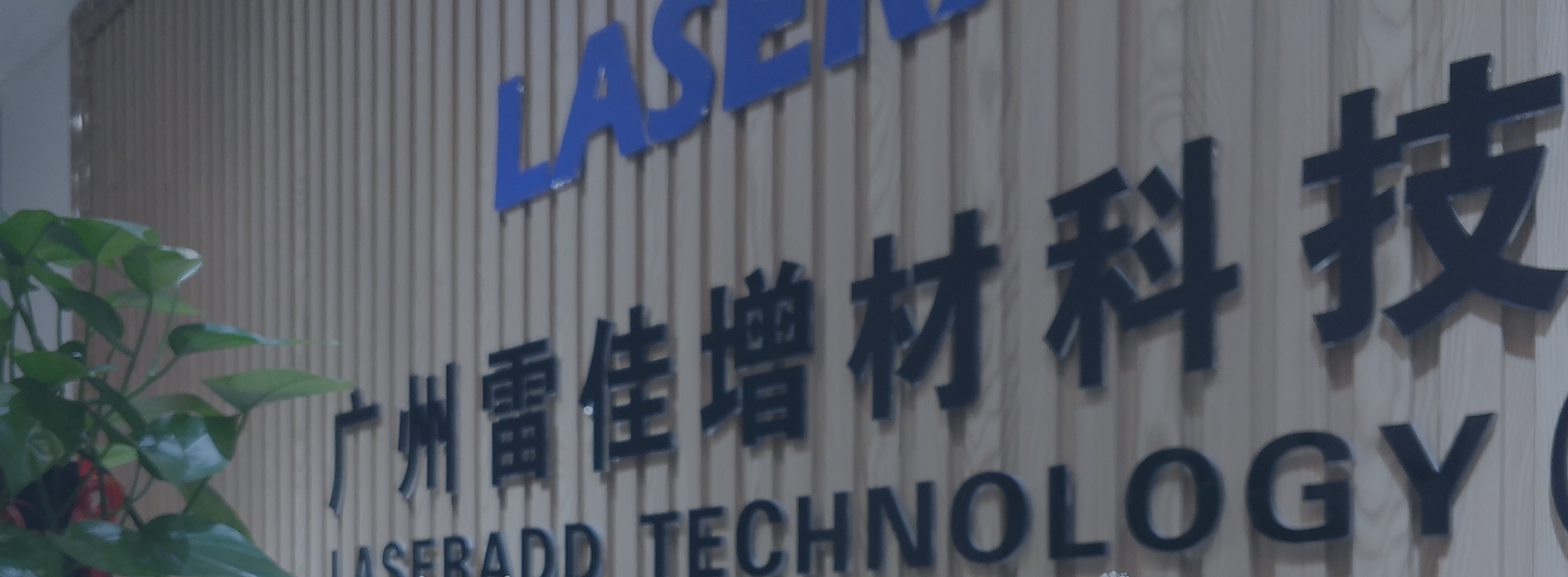 TG反波胆·(中国区)官方网站