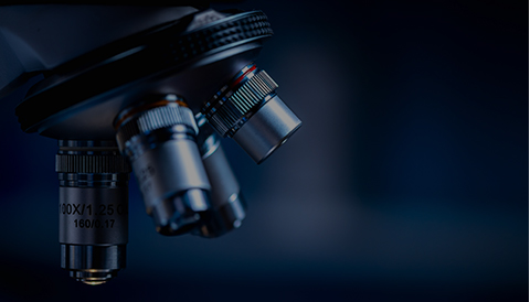 TG反波胆·(中国区)官方网站